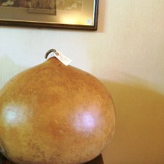 Bushel Gourd